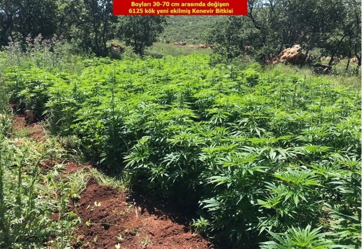 Zehir tacirlerine geçit verilmiyor.!
Diyarbakır'da terör örgütünün finansman kaynağına ağır darbe.
Diyarbakır'da gerçekleştirilen narkoterör operasyonunda 1 ton kilogram esrar ile 508 bin kök kenevir ele geçirildi.
#PKKnınFinansmanınaDarbe