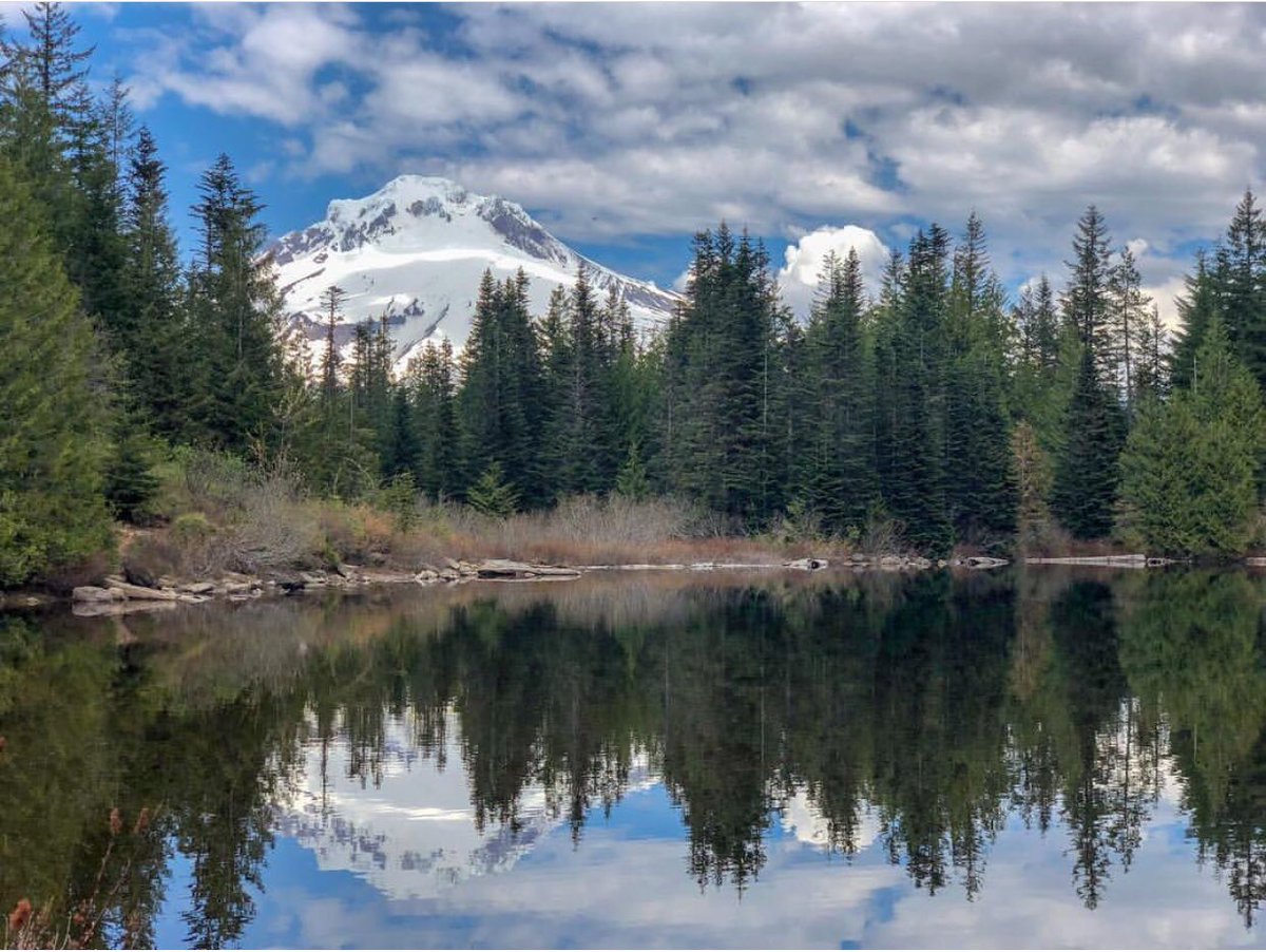 inMtHood tweet picture