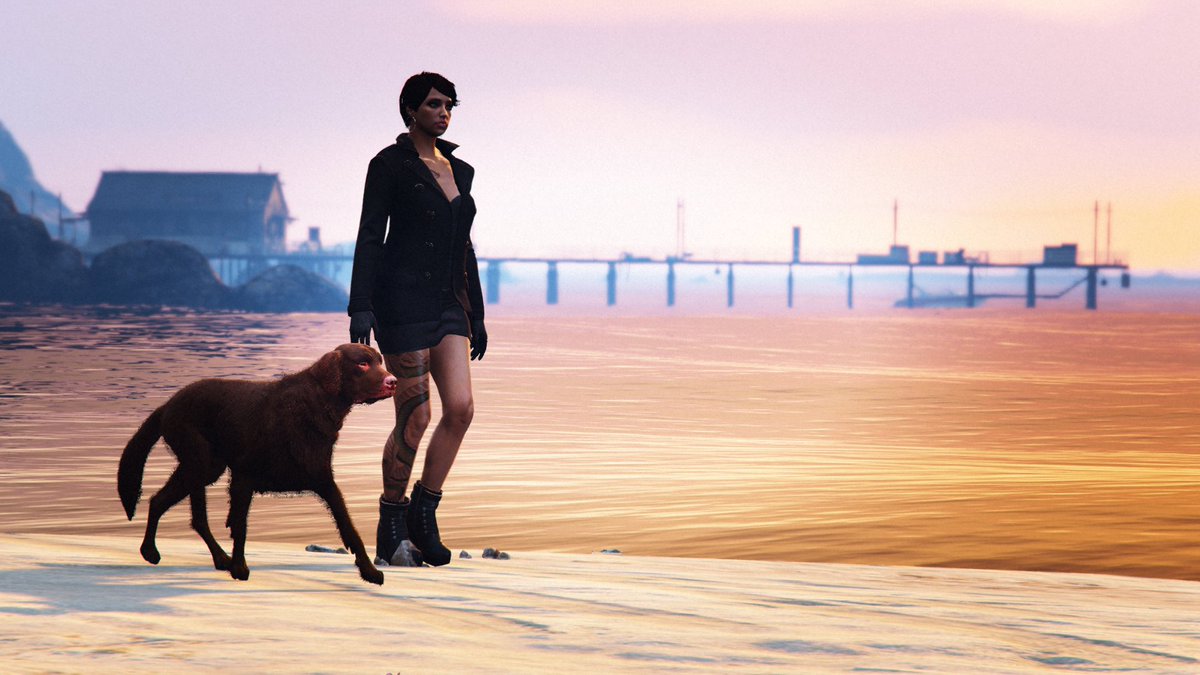 Was looking for #RockstarGames Servers and found this dog

#RNWN #GTAOnline
#LuckySnaps #snapmatic
#CactusTweets_ #TMGT
#WaveFormGaming #ps4
#RockstarEditor #GTAV
#AppleCore #GTA5 #ARRT
#WaveFormGaming #ps4