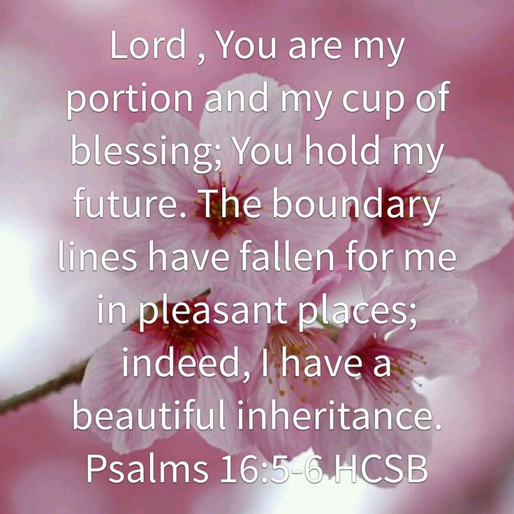 Image result for Psalm 16:6