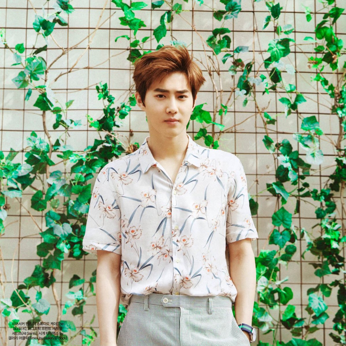 baekyeolangst's tweet photo. happy birthday to the best leader ever, without you there will be no exo 💫 keep being the king of aesthetics i love you legend #HappySUHOday #HappyJunmyeonDay #HappyLeaderDay #준면아생일축하해 #수호야생일축하해 https://t.co/28wR2QEeO6