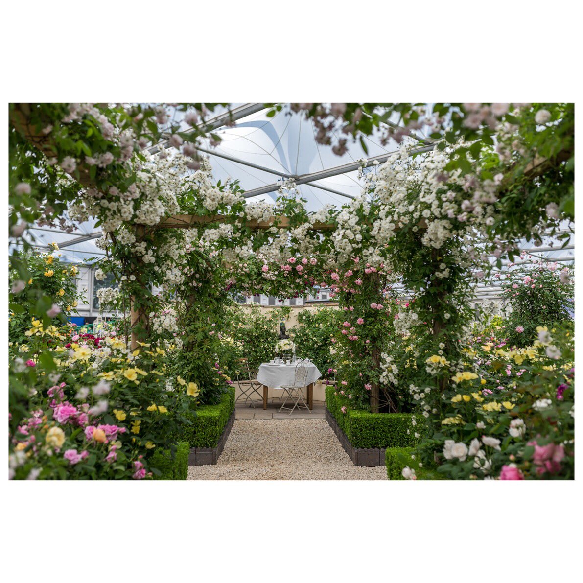 DAustinRoses's tweet photo. Our beautiful stand at the RHS Chelsea Flower Show - ready for the week ahead  #chelseaflowershow https://t.co/wEup2tyfWK