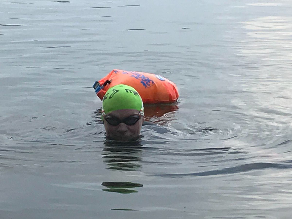 GertHardeman's tweet photo. Love #swimming Maarsseveense plassen #openwaterswimming #zone3 #360swim. https://t.co/IFXu40Fp8R