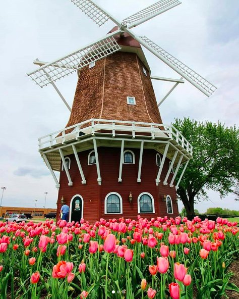 GoBewander's tweet image. Repost from @casielynnphoto! "Tulip Time 🌷🌷"
-
Use the tag #BeWander to have your beautiful travel photos like this one featured!