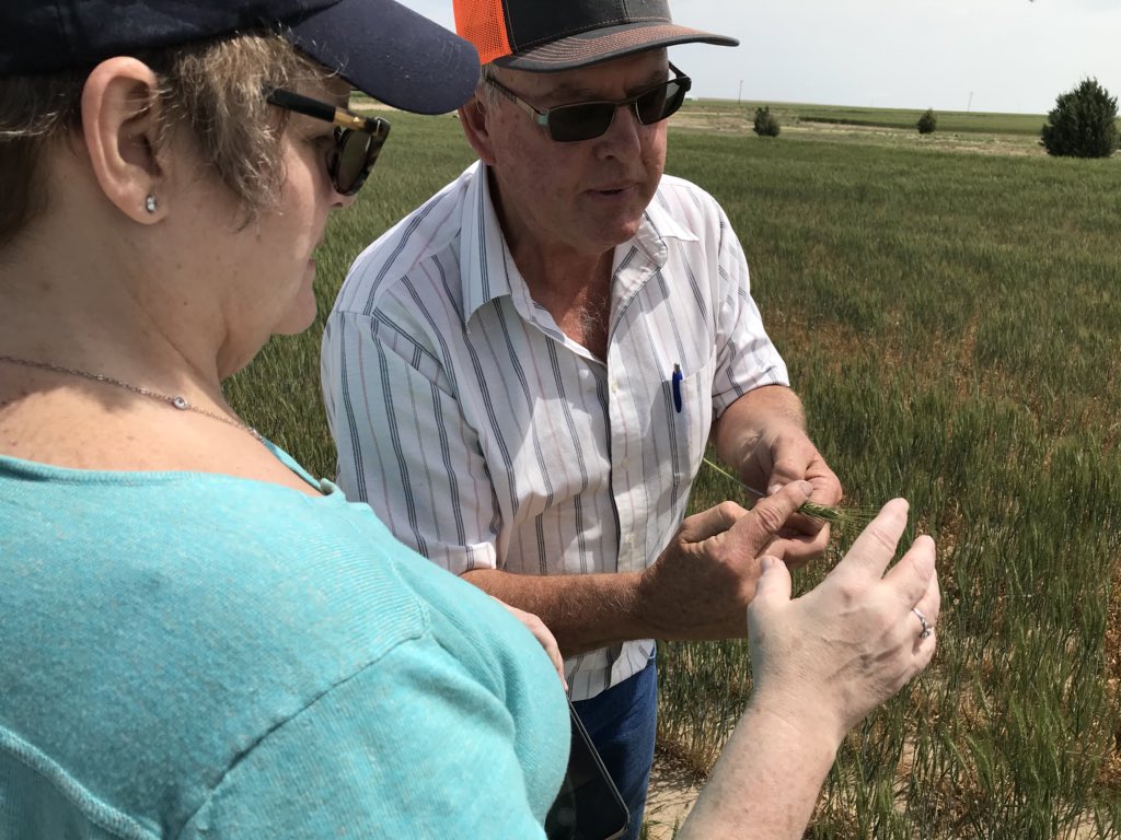 Check out city mouse @marjconn in the country! ❤️#Colorado #wheatfarmers <a href="/JohnDeere/">John Deere USA</a>