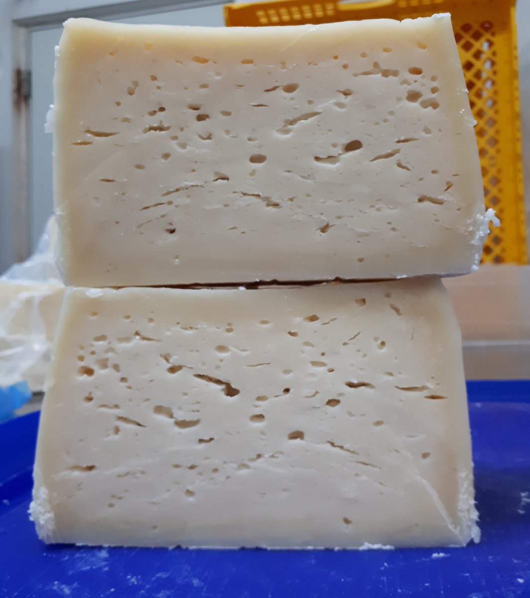 Raw Cheese from June 2016!