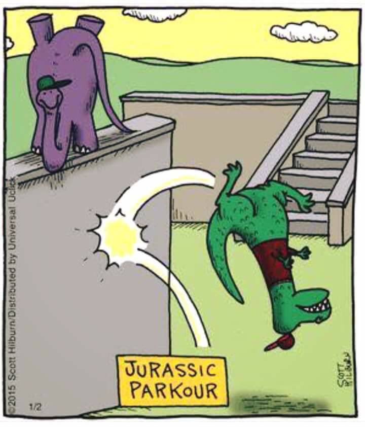 meme_polli's tweet photo. #retweet #memes #funny #parkour #dinosaurday #jurassicpark https://t.co/qRHJNN2w1W