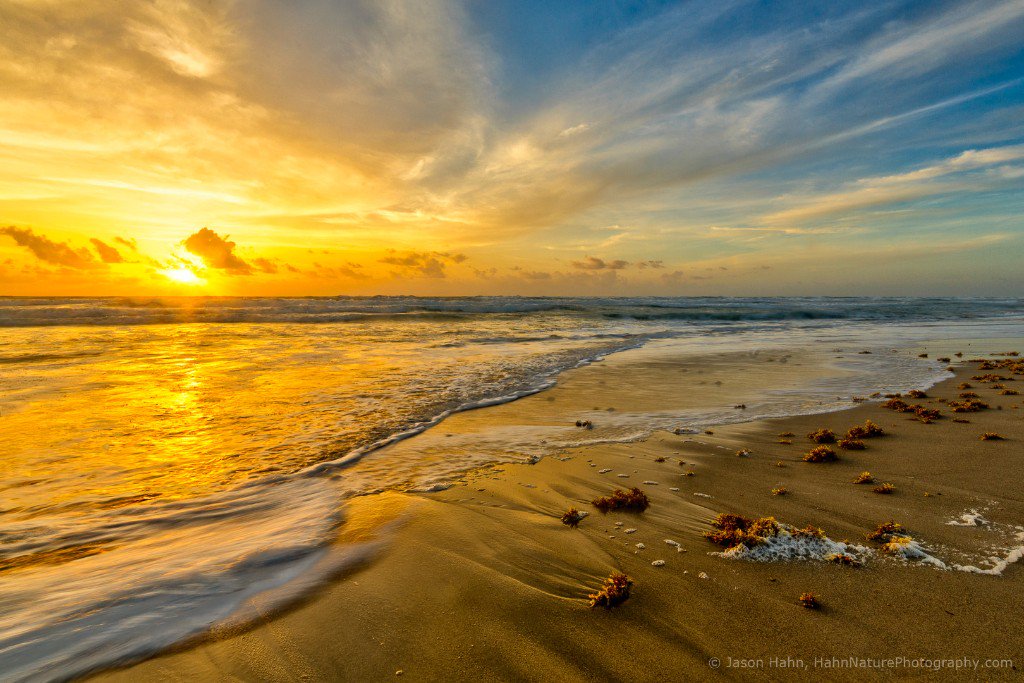HahnNaturePhoto's tweet photo. One on One Photo Workshops - https://t.co/RvmQAm2I5d https://t.co/CWXf9eJRMy