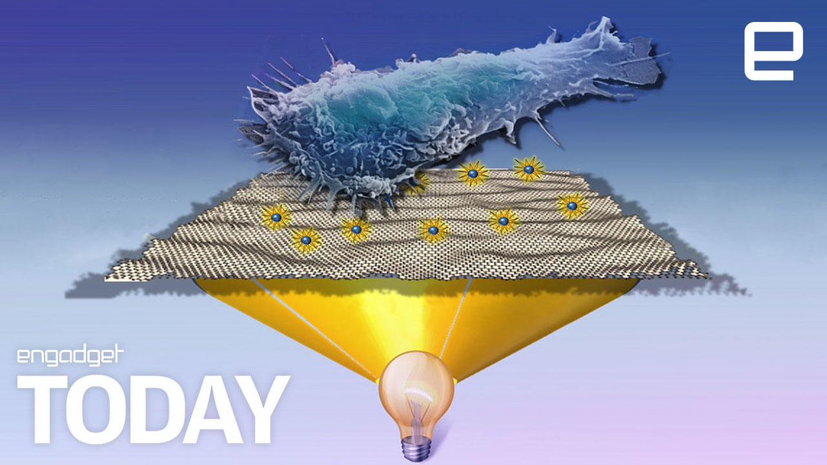 Graphene 'stimulation' could selectively kill off cancer cells https://t.co/VlfiWY4g9T