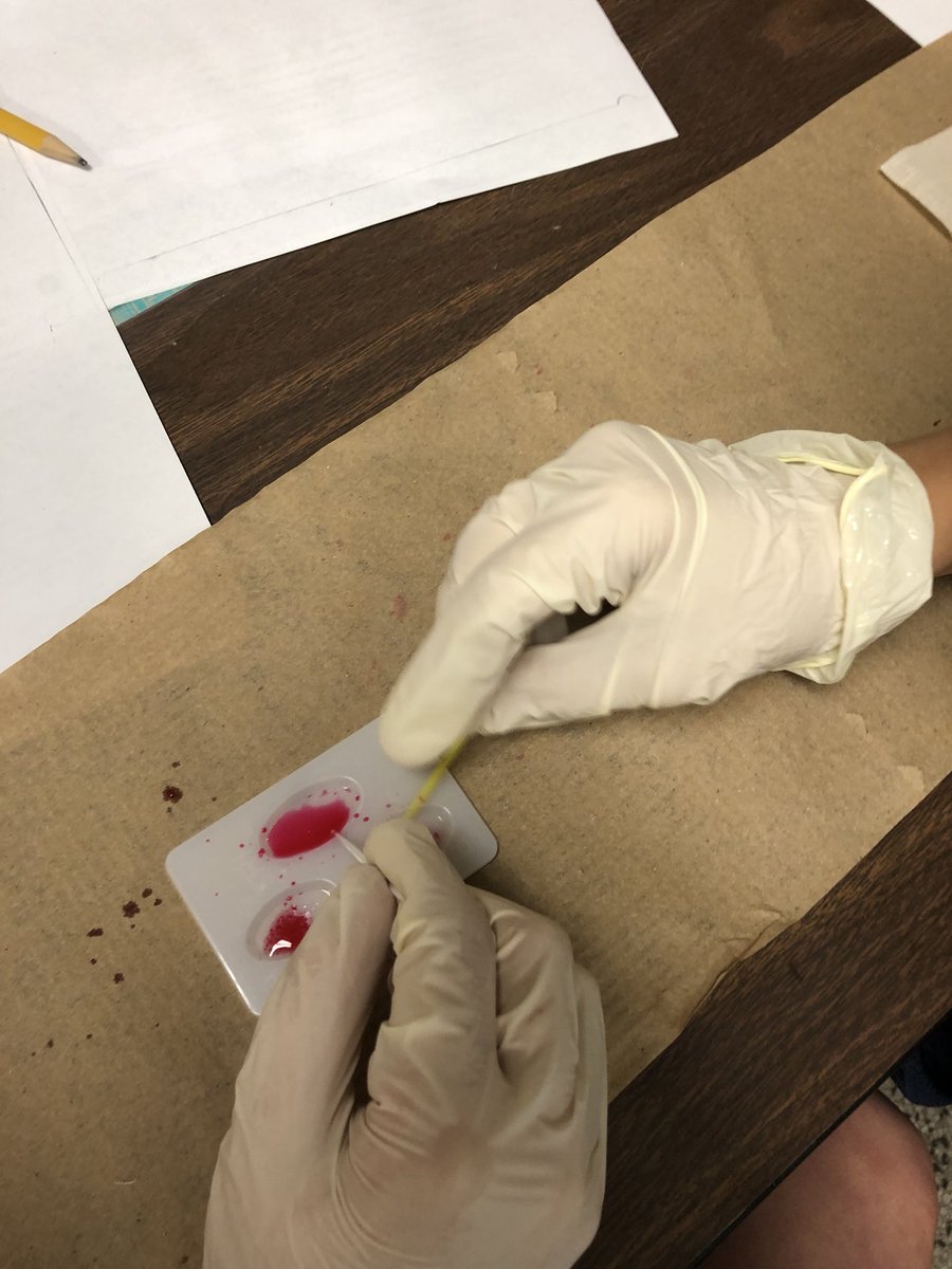 teamteichman's tweet image. #forensics #bloodsampling #Iknowwhodidit