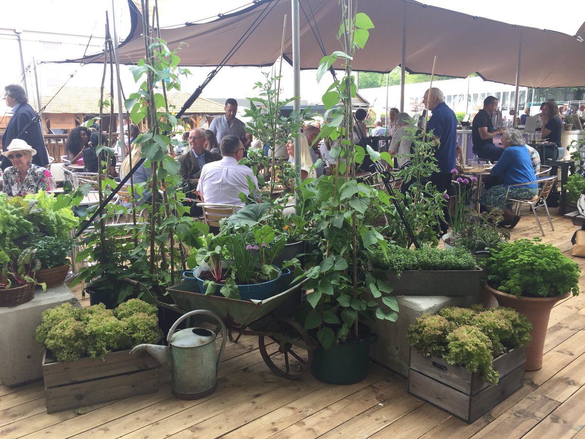 Alladiosims tweet media