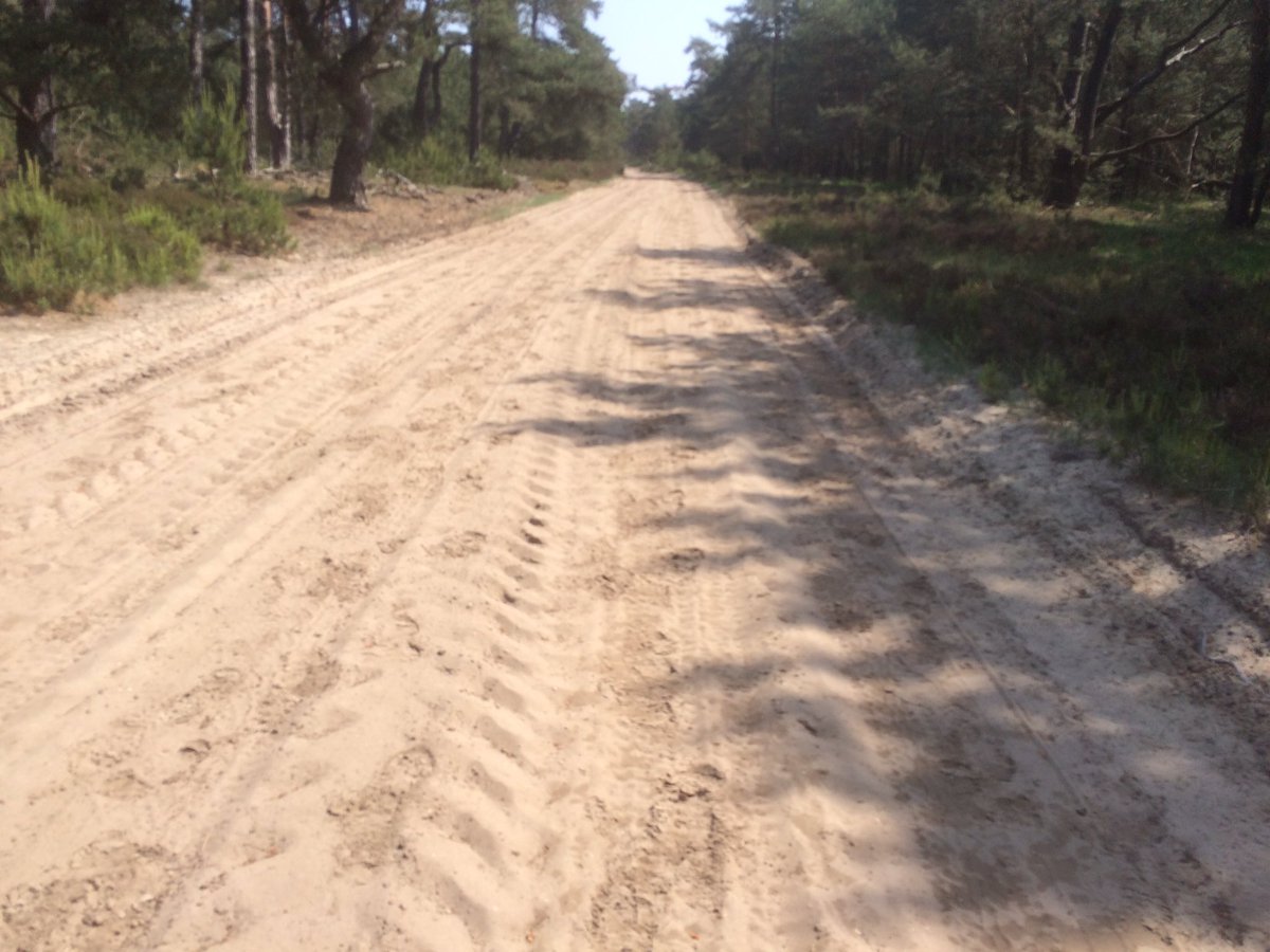 mwildenberg's tweet photo. Het #veluwe #zwerfpad van Otterlo naar Arnhem heeft meer iets van een #ruiterroute. Wij ploegden dapper voort te voet over de lange zandwegen op #hogeveluwe #wandelnet pinksteren2018 https://t.co/qLIVN8ObAi