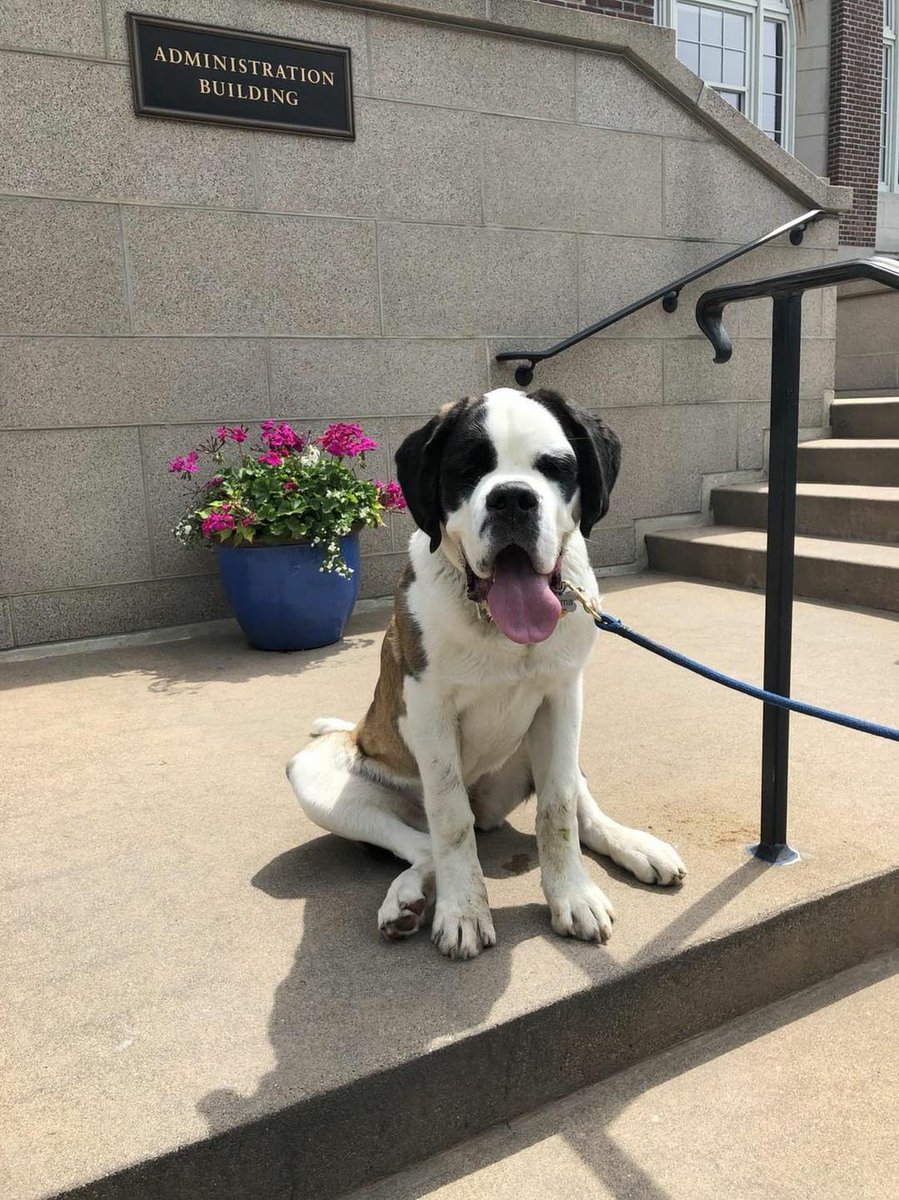 EmmanuelCollege's tweet image. Guess what the #1 baby name for girls in Massachusetts was in 2017? We&apos;ll give you a hint.