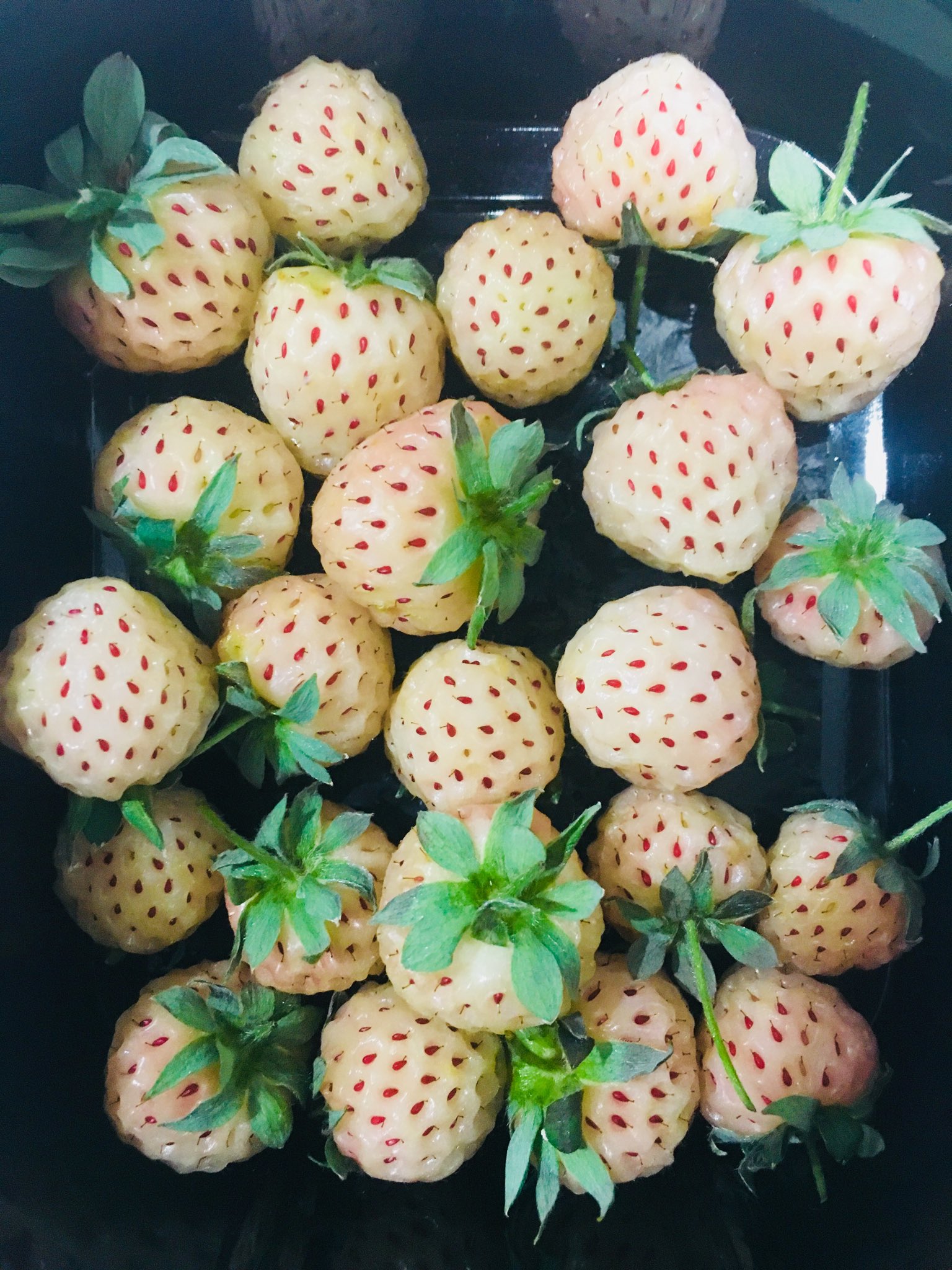 Клубника ананас Пайнберри