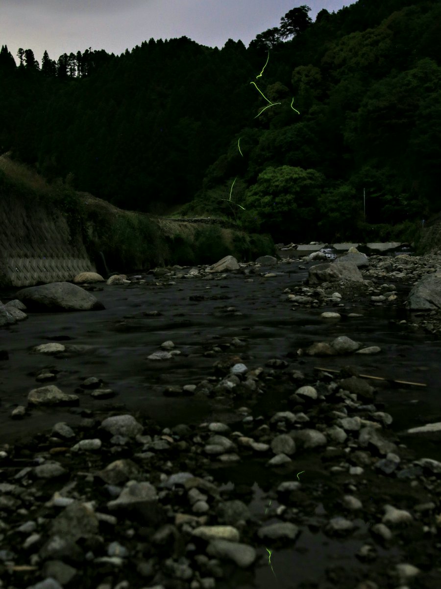 棚田親水公園 棚田親水公園