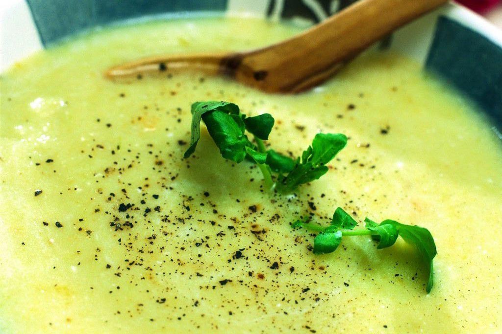 Existen muchas formas de hacer una #receta ¿pero a que no has probado nuestra #receta de Crema de verduras? #recetas #cocina #comida

deliciosi.com/crema-de-verdu…