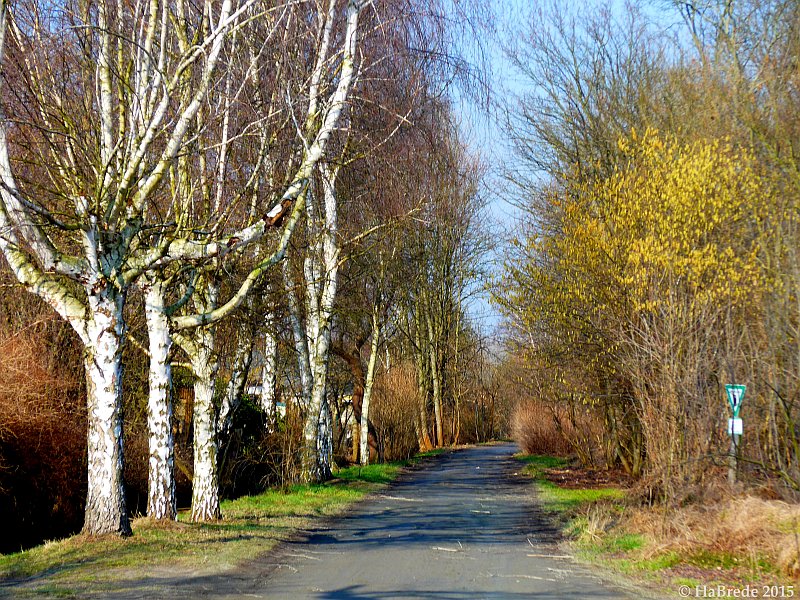 HaraldBrede's tweet photo. Green Routes To Walk In Berlin, Germany - 
Berliner Wanderwege - 
https://t.co/0LoJS5qEsw https://t.co/PAwXlLI3tp