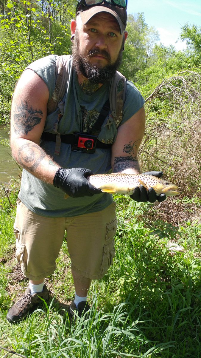 EdJackson8783's tweet image. Early morning brown.