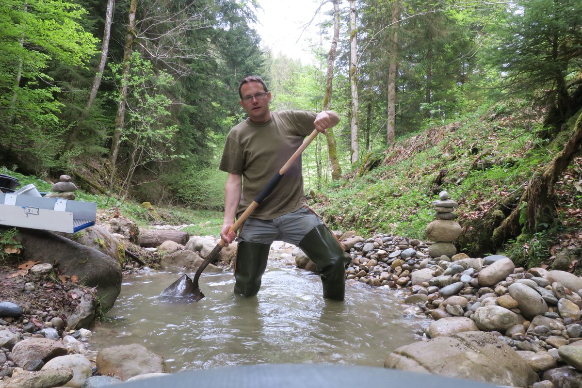 Goldsucher2016's tweet photo. Not easy to get the gold...big stones...much trees from the storm...but a lovley place #fontanne #romoos #goldsearch https://t.co/I8YDkMlnJl
