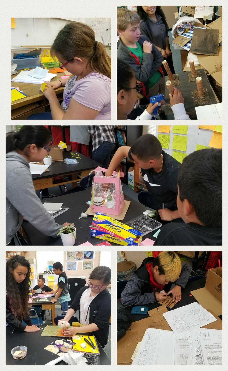 Habitat solution models are a goooooo! #PBL #mystudentswillsavetheworld