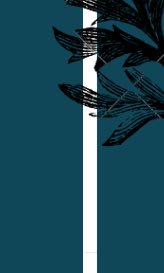 Pure Sonder (@pure_sonder) on Twitter photo 