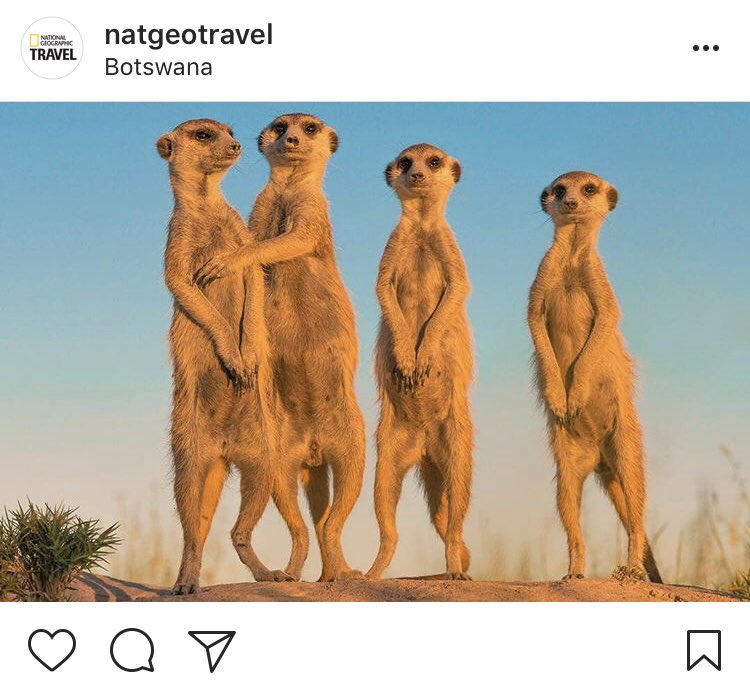 Melisa_Mesa's tweet photo. -Timón, ¿Qué haces? 
-María, te dije que no hicieras toples, que están los paparazzi de National Geographic en la playa. https://t.co/RUj2ihUvhc