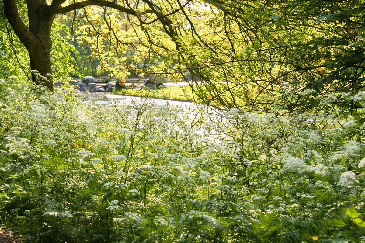 Put a spring in your step with our 40% off the entire FWC range.
Go to frederickwilliam.clothing and 
enter code CDS40 at checkout for 40% off
#wherewillyouwearyours #SummerSale #sale #clothing #rowing #sailing #equestrian #farming #walking #cycling #dogwalk