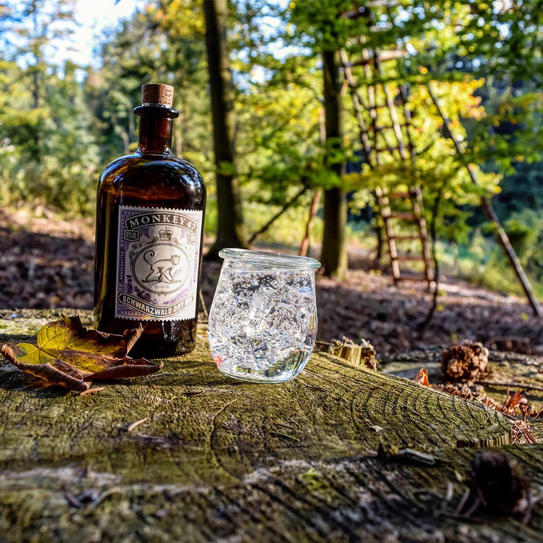 dasgutezeugnow's tweet photo. Pfingsten ausklingen lassen mit Monkey47 Gin! 🙉 gibt wesentlich schlimmeres 😂

#gin #drink #gintonic #dasgutezeug #ginupyourlife #pfingsten https://t.co/L9YrTLYvR9