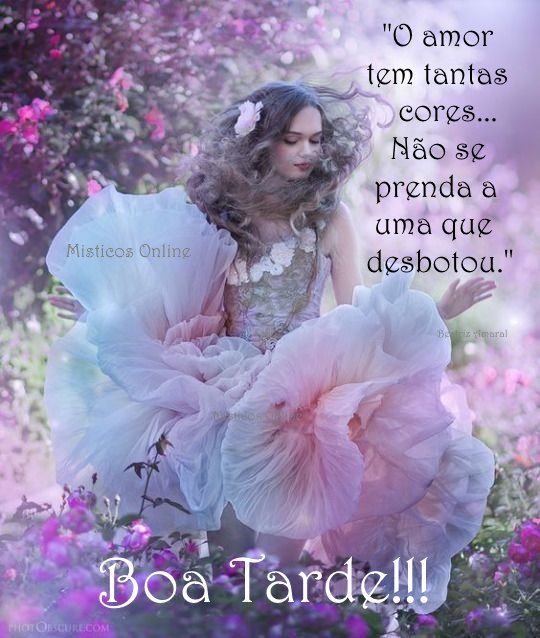 Místicos Online - Boa tarde!!! 💜🦋🥰🙏🦋🦋🦋🌸