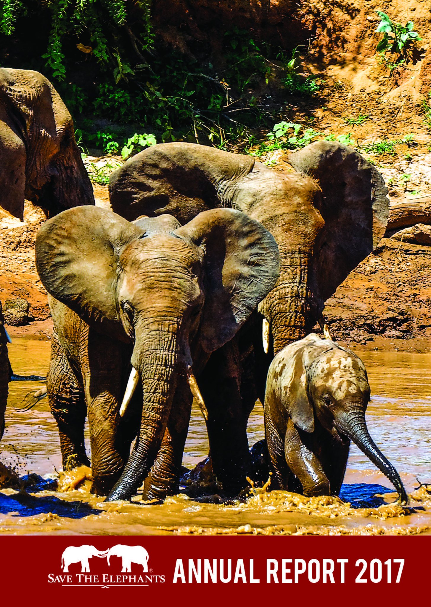 Save the Elephants on Twitter "Our new annual report is hot off the
