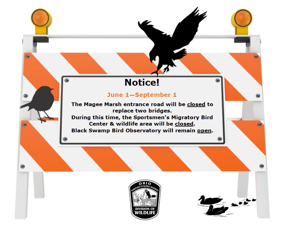If making plans to go birding along Lake Erie this summer, take note that from June 1 - Sept 1, 2018, the Magee Marsh entrance road will be closed to replace two bridges: ow.ly/n1B330jZGpF #wildohio #mageemarsh #BSBO