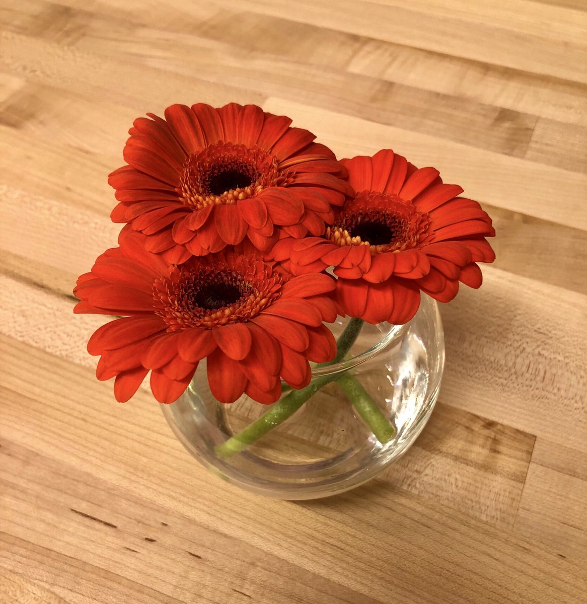 BethesdaLabs's tweet photo. we can always rely on Potomac Florals’ beautiful flowers to brighten up both our workspace and our day! #shoplocal https://t.co/WztD3W3TA1