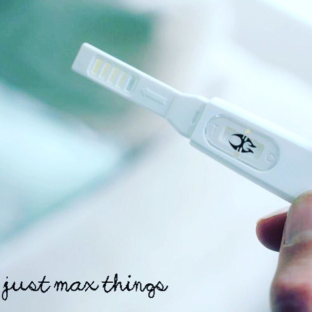 just_max_things's tweet photo. surprise, it’s a bumba #justmaxthings https://t.co/tA5roZDoQJ