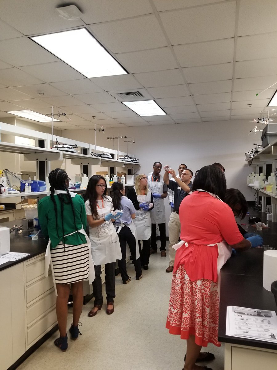 campbelledu's tweet photo. This week we're welcoming high schoolers to campus for the Ransdell Family Health Professions Readiness and Enrichment Program. Today in the lab, students are getting some hands-on experience with DNA extraction. #HPREP2018 https://t.co/fqnqzDnP7S