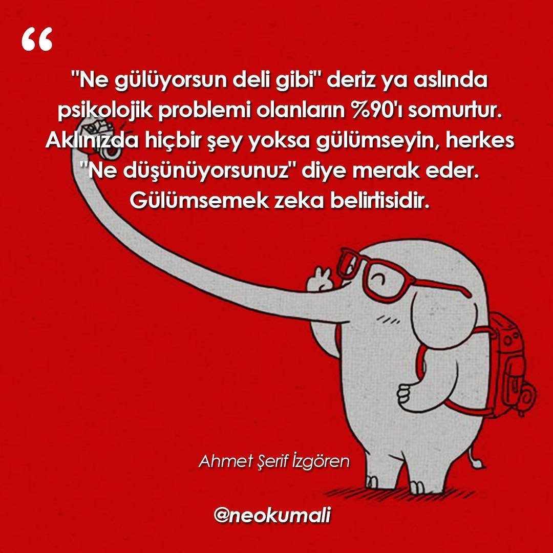 Ahmet Şerif İzgören (@a_serif_izgoren) on Twitter photo 