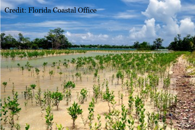 #Florida has 8,436 miles of #Gulf &amp; #Atlantic coastline &amp; 13 million acres of #coastal #wetlands = 30% of the state! Florida's Coastal Office coordinates the protection of the natural, cultural &amp; economic coastal resources. Learn about <a href="/Aquatic_FL/">FL Coastal Office</a> here: bit.ly/2rYn86Z