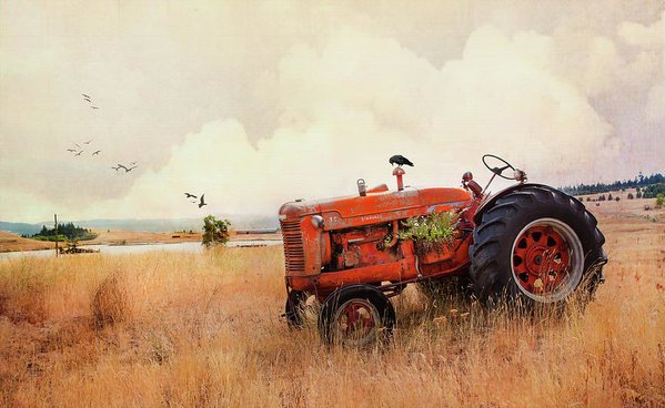 TheresaTahara's tweet photo. Long Lake Tractor https://t.co/OuDTDCpqbG art for sale. #farm #countryside #tractor #scenic #GiftIdeas #artforsale #Kamloops #kamloopsPhotographer #mugs #FleeceThrows #wallart #MondayMotivation #rural #totes #canvasPrint Kamloops BC #crows #corvid https://t.co/pfIRrbqlja