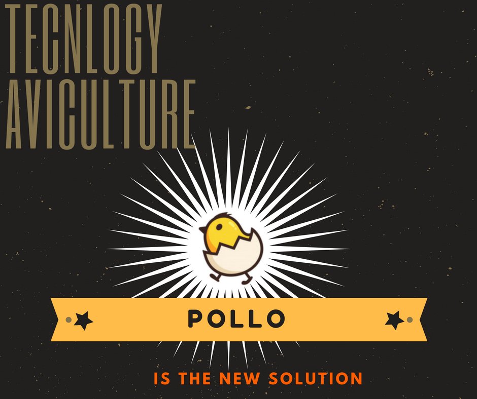 CodeOficial_'s tweet photo. O Projeto Pollo veio para modernizar o ramo da avicultura!

É um sistema informatizado que pode trazer melhorias a rotina dos avicultores, otimizando seu tempo e aumentando a produtividade do agronegócio do Brasil.

#SOMOSCODE https://t.co/4eFBmI1unu