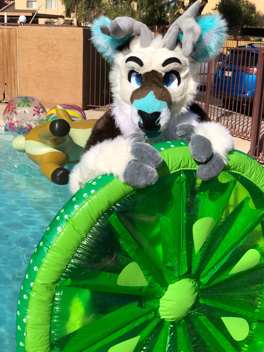 FreshwaterCacti's tweet photo. Slice of life ♡
#furry #furries #fursuit #headsandtailsstudios #bucktruffle #poolside #inflatablefurs #pooltoyfurs https://t.co/lo61YdCtaS