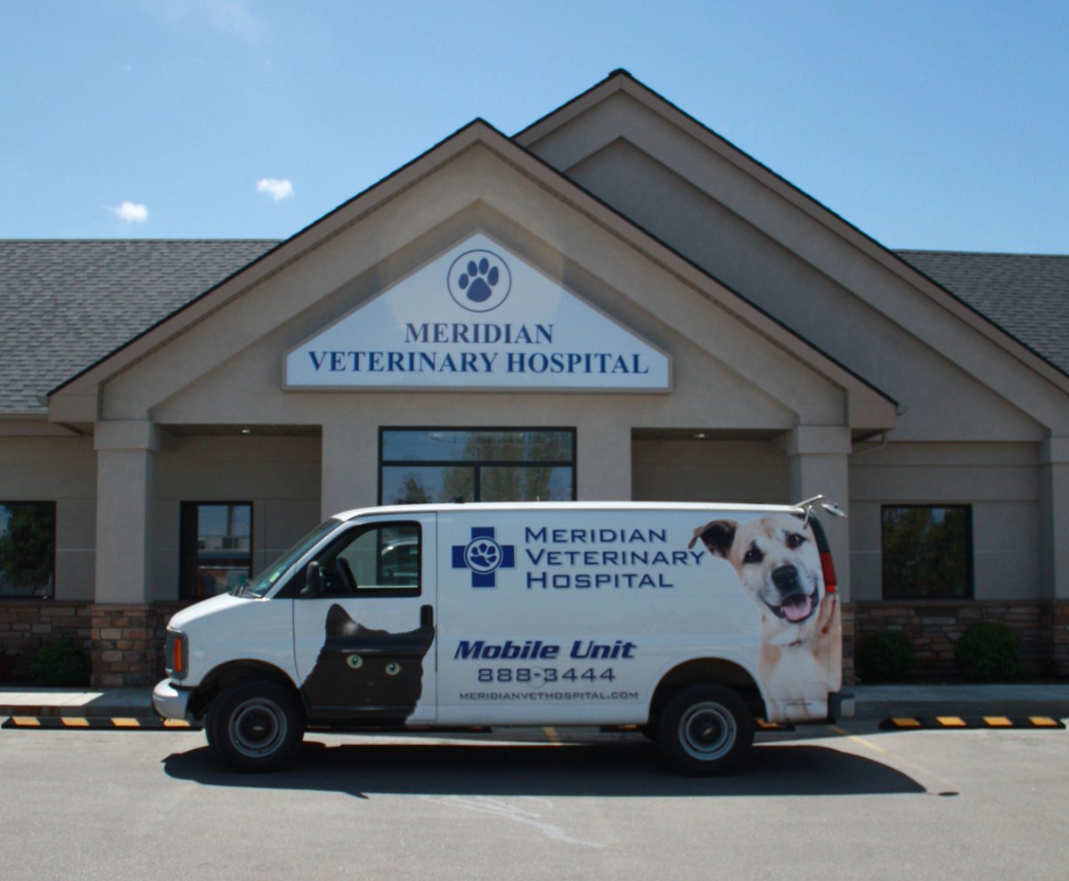 The oldest veterinary hospital in Meridian has been BBB Accredited for 5 years! Congrats, Meridian Veterinary Hospital! 

Thank you for being a trustworthy business that provides quality care and medicine to animals in Idaho!