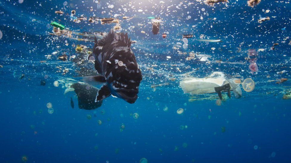 climateserious's tweet photo. We’ve all seen #BluePlanet2. We know the devastating effect that #plasticpollution has on our oceans. So why are @Danone still using non-recycled #plastic in @Evian &amp; @Volvic bottles? Sign our petition to stop this >> https://t.co/UH8xnasEzO https://t.co/4kMWBAzlp4