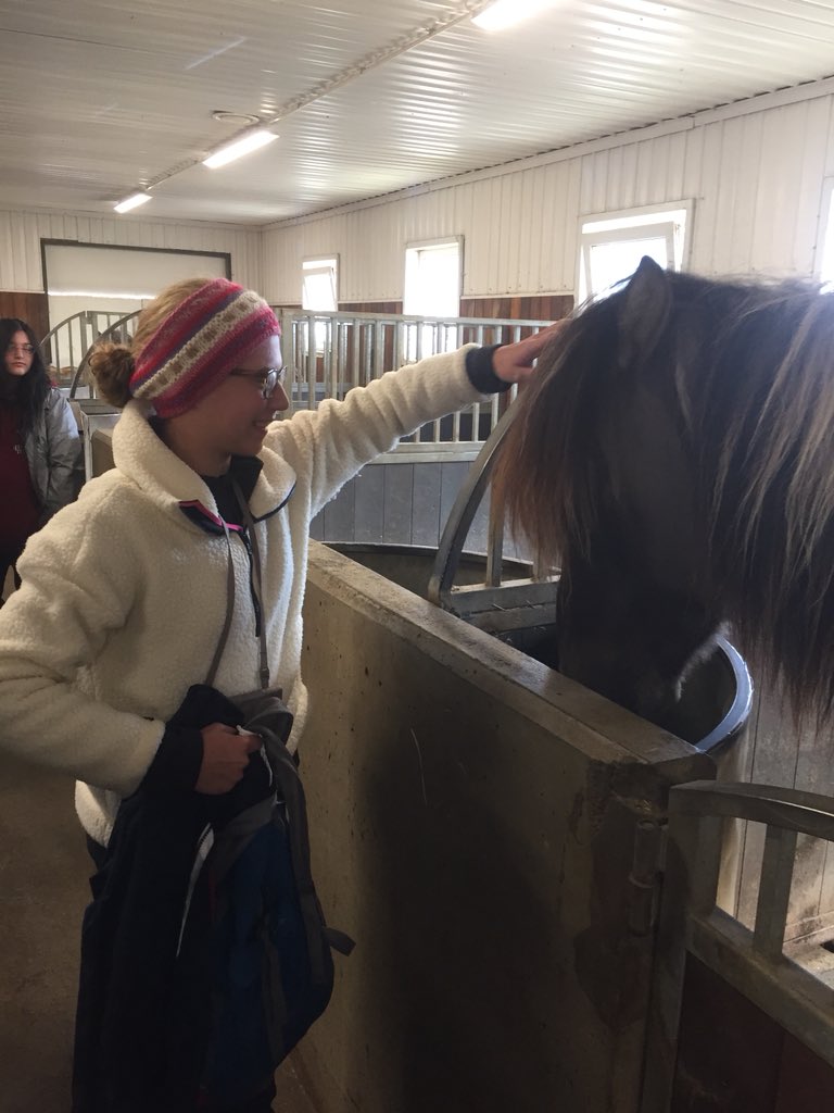 jbellmath's tweet image. Sophia gets up close and personal with an Icelandic horse. We visited a stable and learned that no other type of horse is allowed in Iceland #mhsbeyond