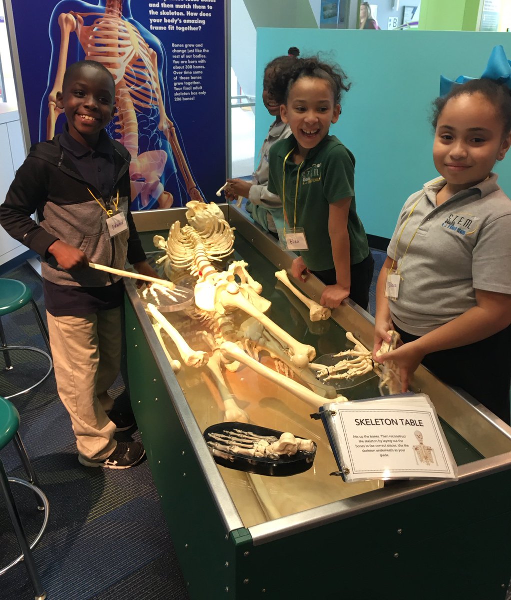 OBrienSTEM's tweet photo. Thank you to the @CTScienceCenter for a #STEMtastic field trip! Our second grade students, teachers and their chaperones had a great day. #CTScienceCenter #FieldTrip #STEM #InquiryBasedLearning 🧠💭✏️📓🚌 https://t.co/ovlVQ5HHHK