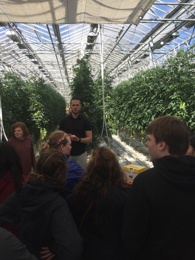 jbellmath's tweet image. Iceland is green!! Learning about growing tomatoes in greenhouses! Using warm geothermal water from the earth Iceland is able to grow tomatoes in a harsh environment #mhsbeyond