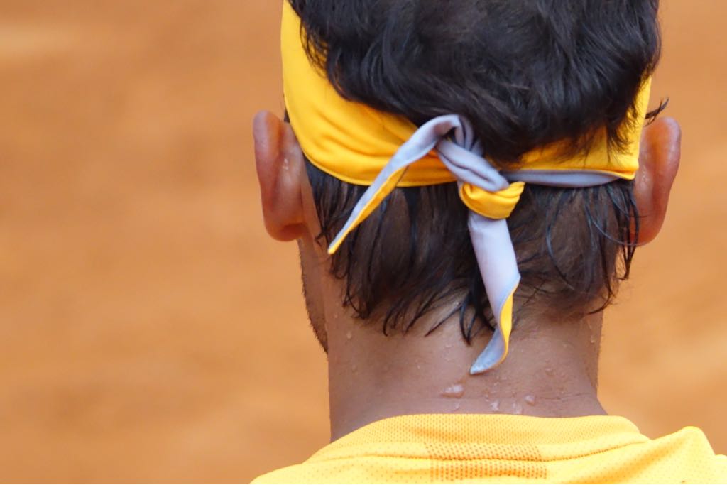 Lucia Leva tweet media