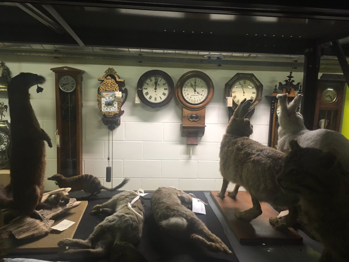RosTails's tweet photo. Huge thanks to Emily and Rob @BMTMCC for showing us round the Colkections centre today to research for PPMCC @RMGreenwich @HappyCakes40 #OpenStores #MuseumLearning https://t.co/fY7vVnXA38