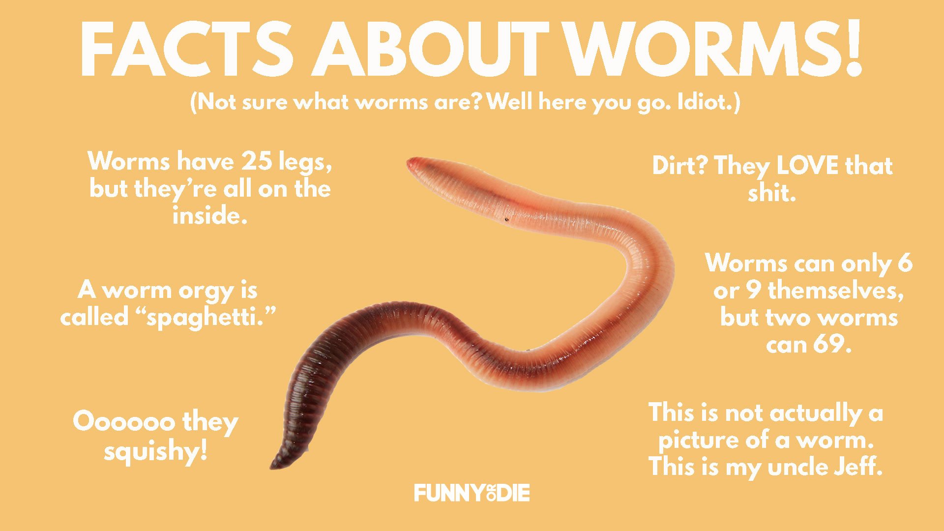 Funny Or Die on X: Only real worm fans will know these facts!   / X