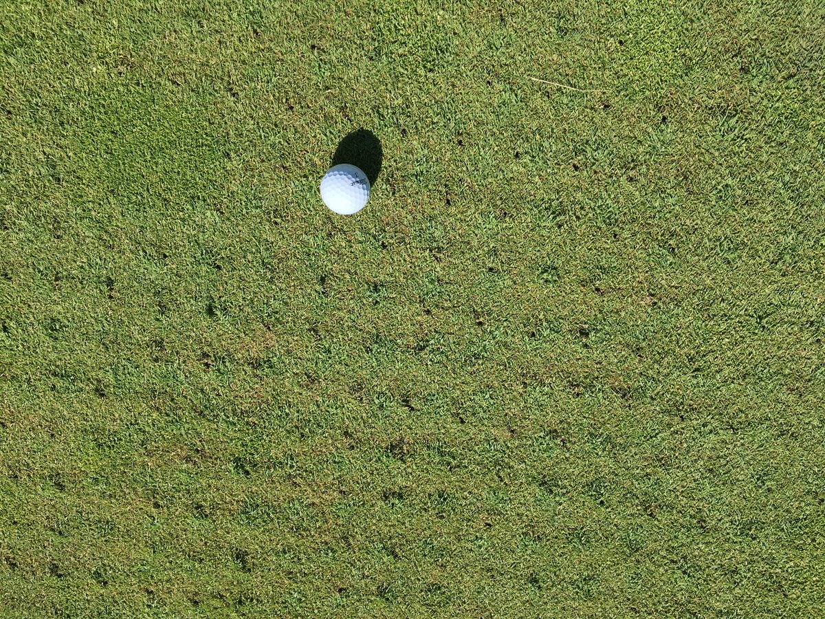 WGC_Grounds's tweet photo. What happens Maintenance Monday, you ask? Greens venting and topdressing! A crucial process to prepare our greens for the stress of the summer.  Holes are made at a 2 inch spacing to a 5 inch depth.  Picture 2 shows the surface after the roller has gone over the green https://t.co/5m7H1m5ToD
