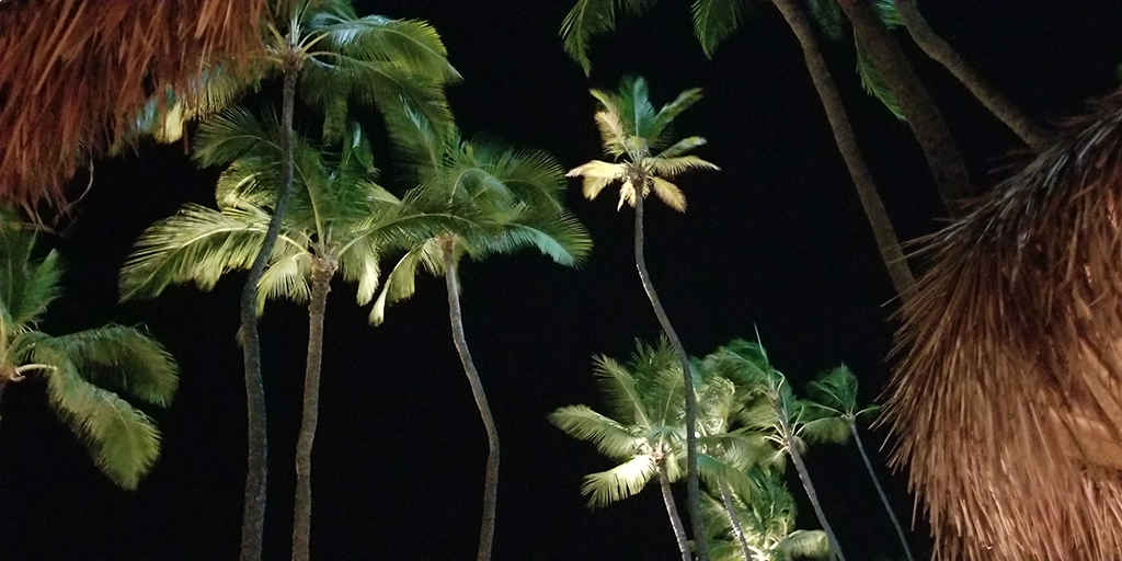 digichicka tweet picture