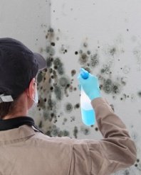 moldadvisor's tweet image. If you have mold growing on sheetrock never use bleach!! It will make the mold problem worse. goo.gl/AV8Rjt